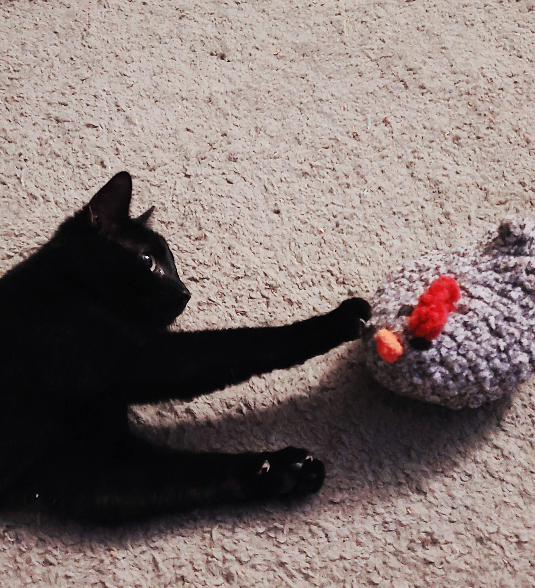 A photo of a black cat pawing at a crocheted chicken.